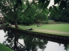 uk-2000-72-canterbury-gardens-b-6