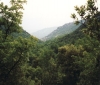 france-98-49-to-gorges-de-galamus-b-6