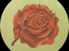 rose-1972-73-chalk-bb-900