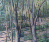 forest-chum-creek-1995-acrylic-on-paper-100
