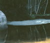 reflections-tidal-river-1988-48x42-acrylic-pastel-900