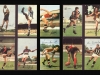 21-mobil-footy-cards-b