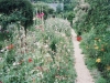 f95-36-giverny-monets-garden-a