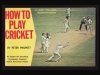 how-to-play-cricket-b
